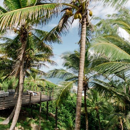 Eco Lifestyle And Lodge Bathsheba المظهر الخارجي الصورة