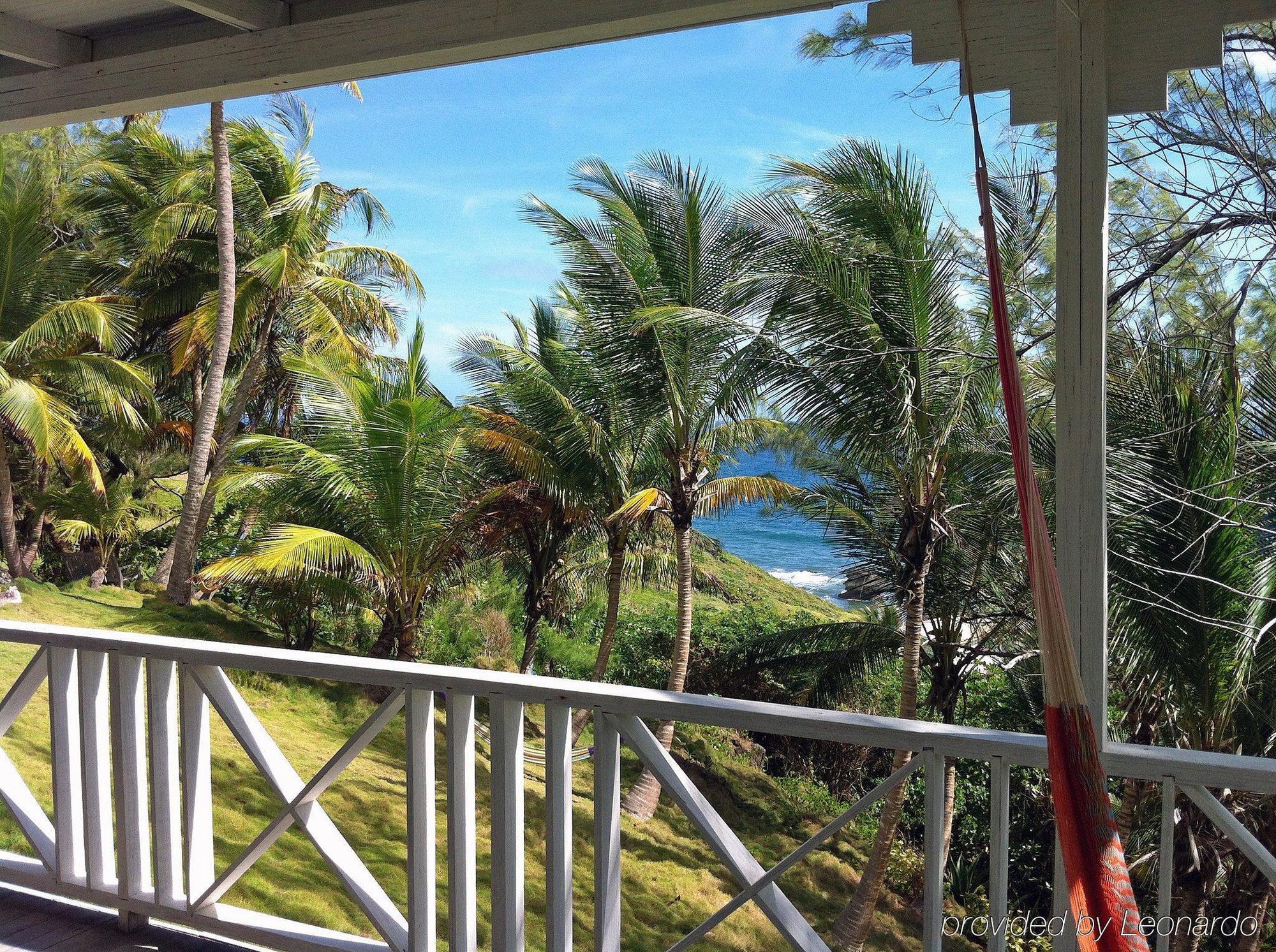 Eco Lifestyle And Lodge Bathsheba المظهر الخارجي الصورة