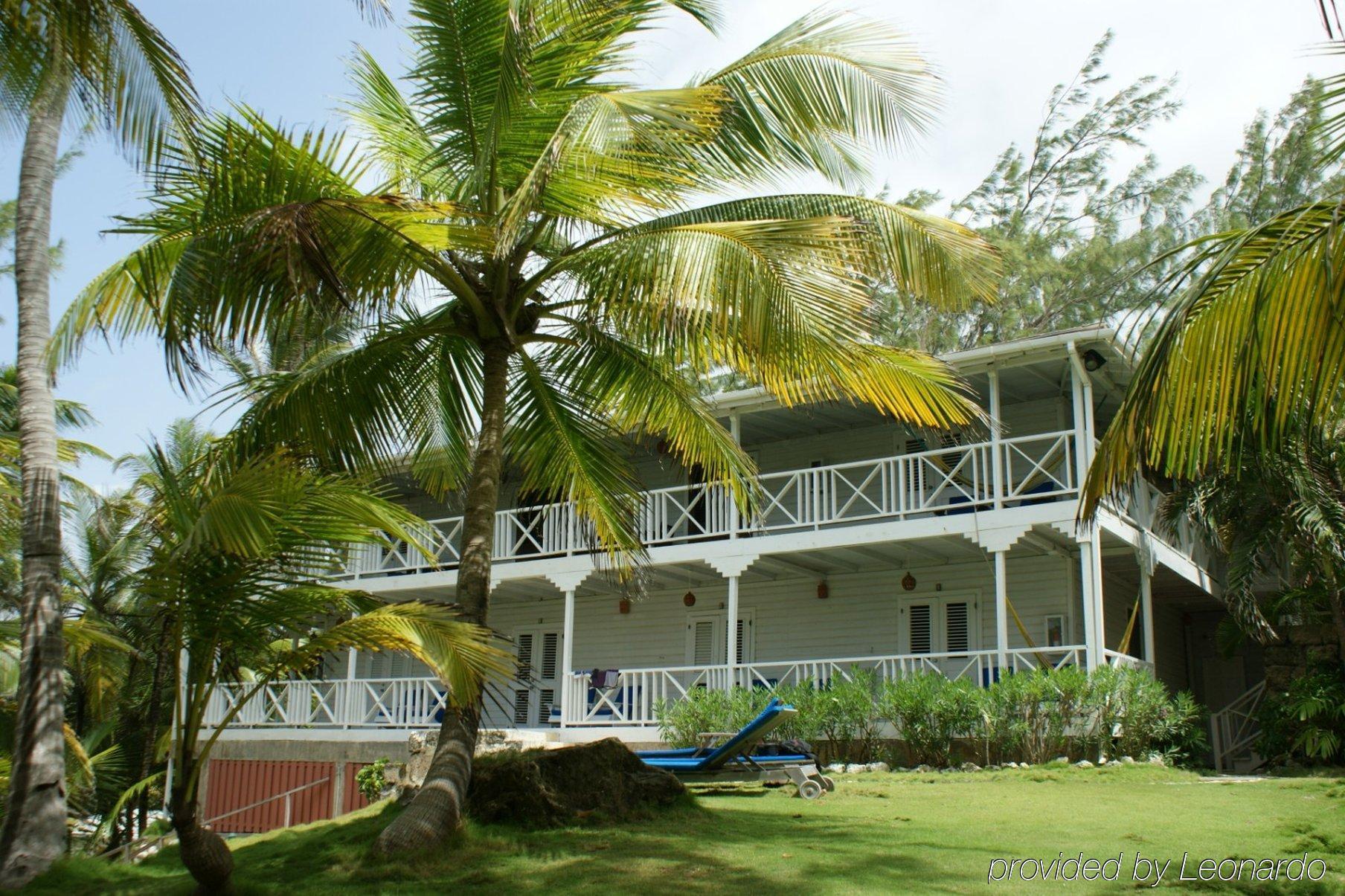 Eco Lifestyle And Lodge Bathsheba المظهر الخارجي الصورة