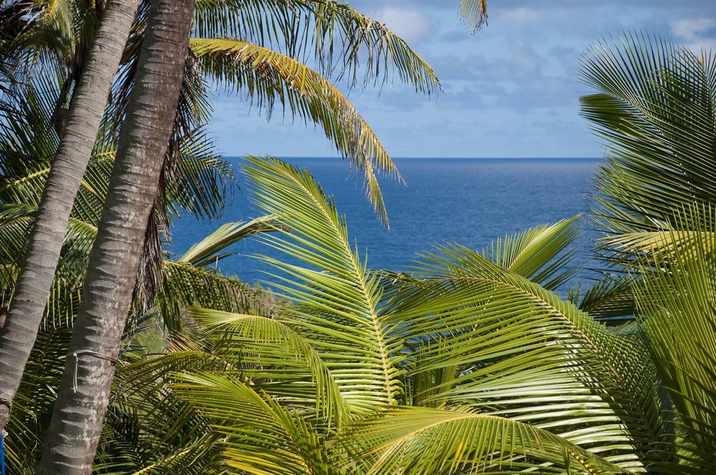 Eco Lifestyle And Lodge Bathsheba المظهر الخارجي الصورة