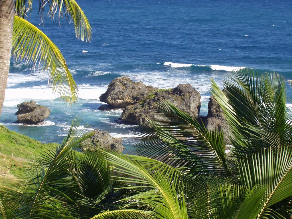 Eco Lifestyle And Lodge Bathsheba المظهر الخارجي الصورة