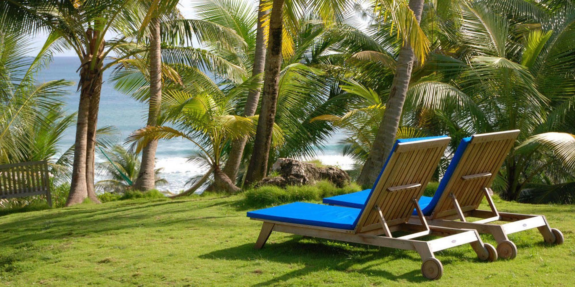 Eco Lifestyle And Lodge Bathsheba المظهر الخارجي الصورة