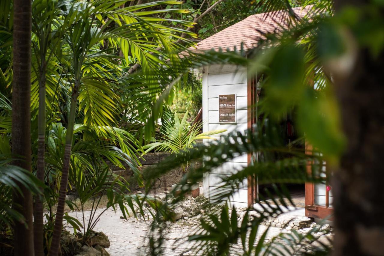 Eco Lifestyle And Lodge Bathsheba المظهر الخارجي الصورة