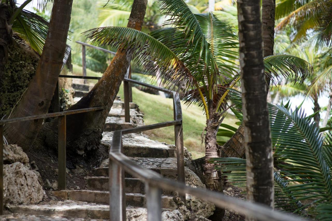 Eco Lifestyle And Lodge Bathsheba المظهر الخارجي الصورة