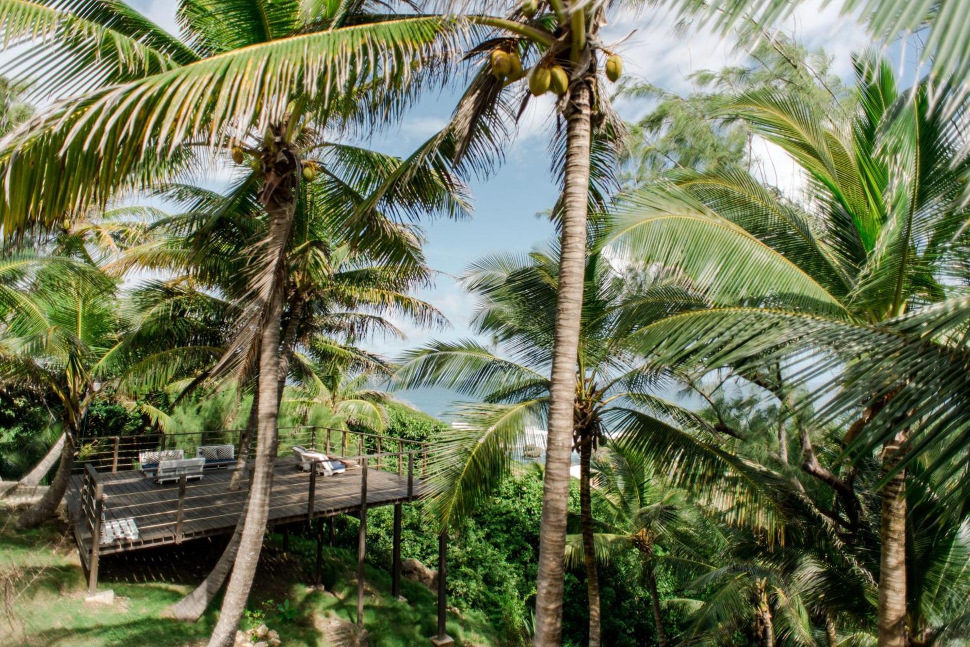 Eco Lifestyle And Lodge Bathsheba المظهر الخارجي الصورة